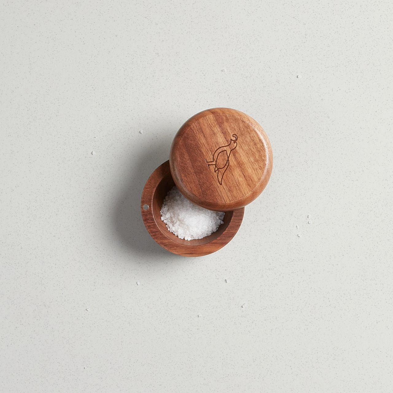 Salt Keeper - Image 3